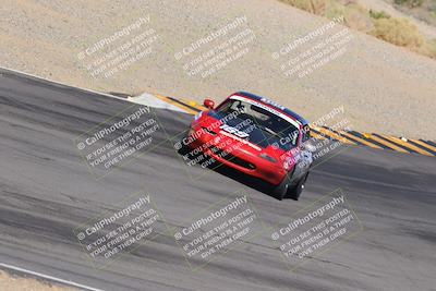 media/Oct-14-2023-Lucky Dog Racing (Sat) [[cef75db616]]/Turn 12 Exit-Bowl Backside (230pm)/